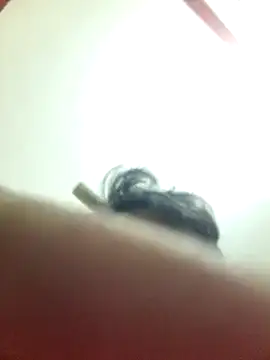 Marvelous Piyush online show from 03.06.25