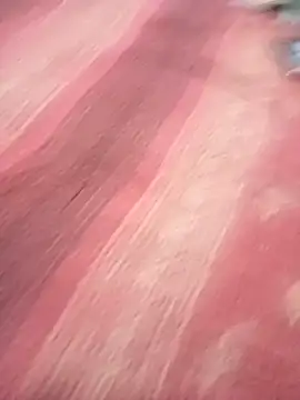 bdmaksuda1 online show from 03.21.25