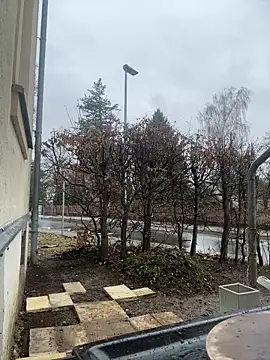 Ciara2004 online show from 02.11.26