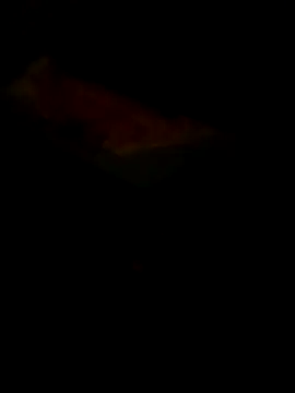 Raj41 online show from 03.30.26