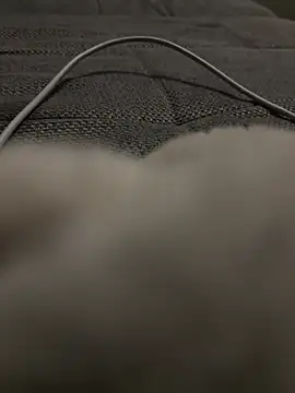 Snapshot of hengst2312 chatting on 01.20.25 hengst2312 online show from 01.20.25