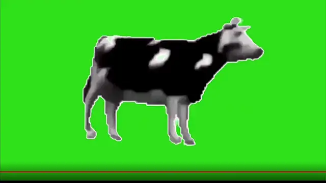 test FramedTishri m online show from 05.13.26