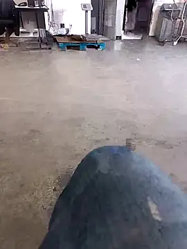 Trixboy201 online show from 09.29.25