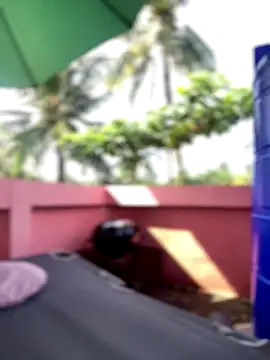 White Lu online show from 09.25.25