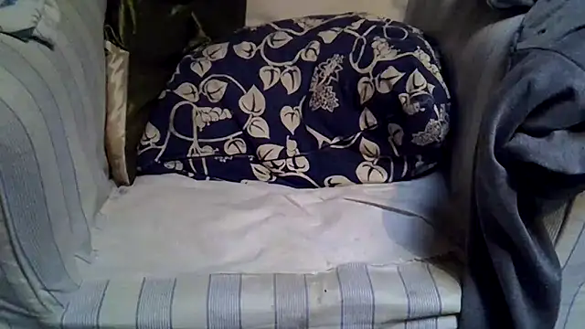 Damn bro23 online show from 11.24.25