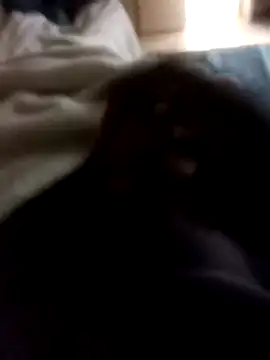 Sbu gold online show from 01.12.26