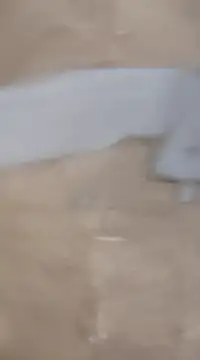 Snapshot of laxmitelugu78 chatting on 02.02.25 laxmitelugu78 online show from 02.02.25