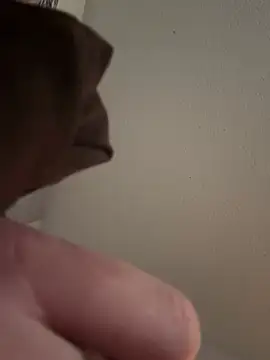 Snapshot of PhattPinxkTaco chatting on 03.13.25 PhattPinxkTaco online show from 03.13.25