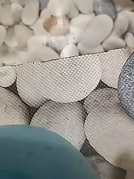 Playboy bhabhi 00 online show from 02.14.25