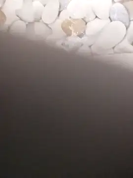 Playboy bhabhi 00 online show from 02.20.25