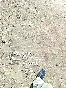 Snapshot of xmanrawan2 chatting on 02.02.25 xmanrawan2 online show from 02.02.25