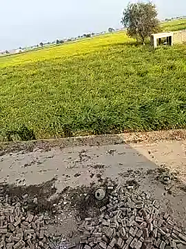 Snapshot of xmanrawan2 chatting on 02.02.25 xmanrawan2 online show from 02.02.25