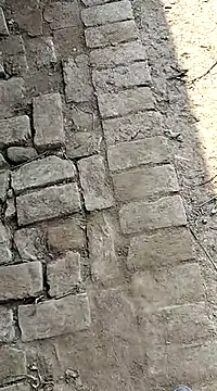 Snapshot of xmanrawan2 chatting on 02.03.25 xmanrawan2 online show from 02.03.25