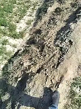 Snapshot of xmanrawan2 chatting on 02.04.25 xmanrawan2 online show from 02.04.25