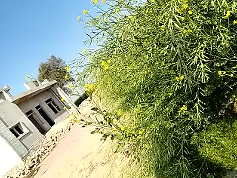 Snapshot of xmanrawan2 chatting on 02.06.25 xmanrawan2 online show from 02.06.25