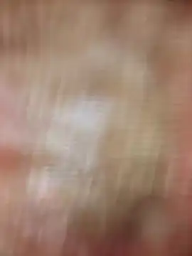 Snapshot of xmanrawan2 chatting on 02.20.25 xmanrawan2 online show from 02.20.25