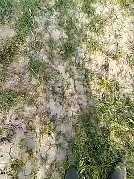 Snapshot of xmanrawan2 chatting on 03.14.25 xmanrawan2 online show from 03.14.25