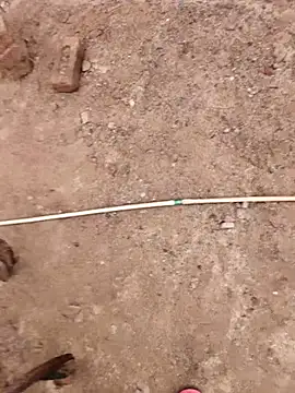 Snapshot of xmanrawan2 chatting on 10.09.25 xmanrawan2 online show from 10.09.25