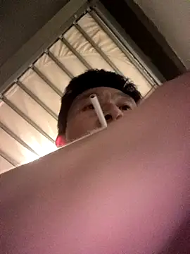 wadmma online show from 04.03.26