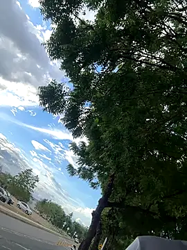 arevalo1124 online show from 11.26.25