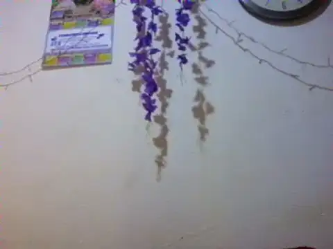 xxsexycutexxx online show from 03.03.25