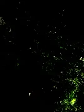 beatle666 online show from 01.19.26