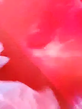 Snapshot of dominationmybigdick chatting on 12.03.25 dominationmybigdick online show from 12.03.25