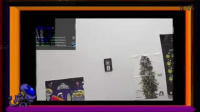 Snapshot of ReyDeBotones chatting on 03.14.25 ReyDeBotones online show from 03.14.25