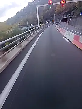 Dam70 online show from 10.24.25