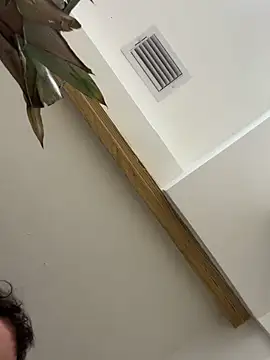 Bicho13132 online show from 10.05.25