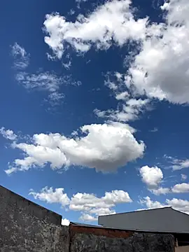 Mineirinho043 online show from 11.26.25