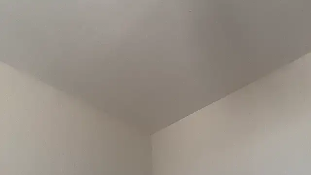 skyejde online show from 02.14.26