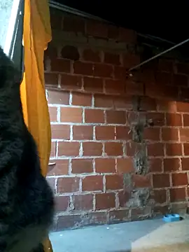 Snapshot of PECHO100 chatting on 03.03.25 PECHO100 online show from 03.03.25