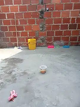 Snapshot of PECHO100 chatting on 03.06.25 PECHO100 online show from 03.06.25