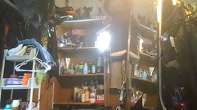 ShysluutGia online show from 01.31.26