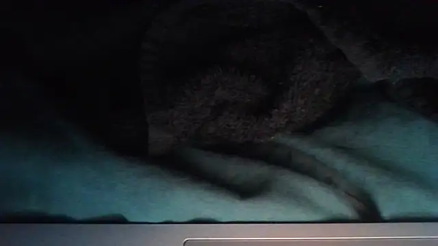 sheiku online show from 10.11.25