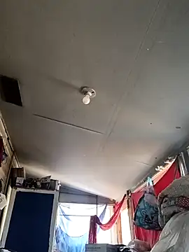 birdg online show from 09.14.25