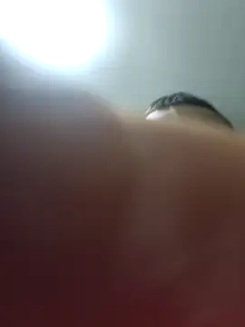 Pildorito19 online show from 03.18.26