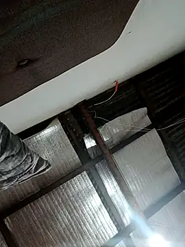 alansex 19 online show from 10.25.25