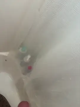 danyh2023 online show from 03.01.26