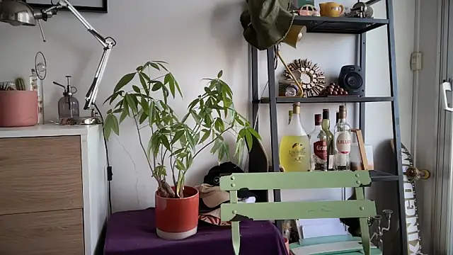 MikymikeBBWD online show from 11.04.25