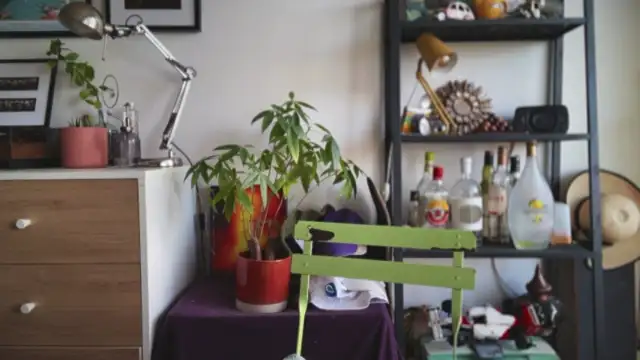 MikymikeBBWD online show from 02.28.26