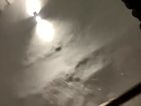 morfeoX online show from 02.23.25