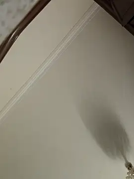 Loly2025 online show from 04.19.26