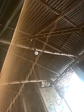 BorNa18 online show from 03.17.26