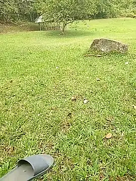 Mycansonhot online show from 10.23.25