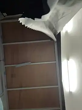 Snapshot of Anson0722 chatting on 11.29.25 Anson0722 online show from 11.29.25