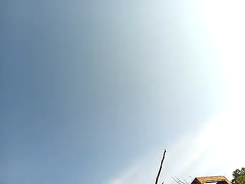 lilpip online show from 11.27.25