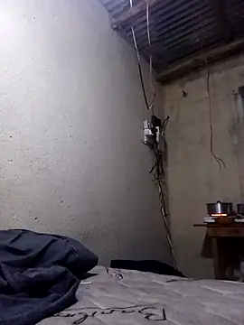 lilpip online show from 01.08.26