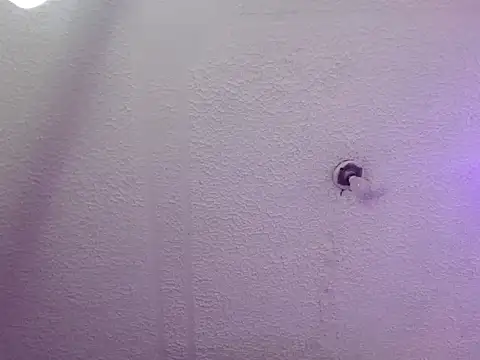 Pandora 9666 online show from 10.24.25